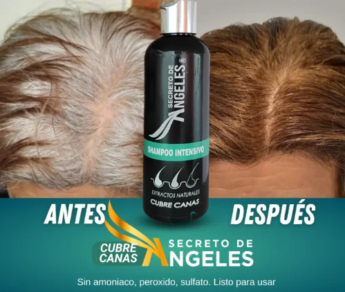Shampoo Cubre Canas Secreto de Ángeles + Colágeno + Exfoliante GRATIS 🎁 | Fórmula Natural 3 en 1