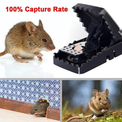 Trampa Reutilizable para Ratas Tipo Cocodrilo – Captura Instantánea y Segura