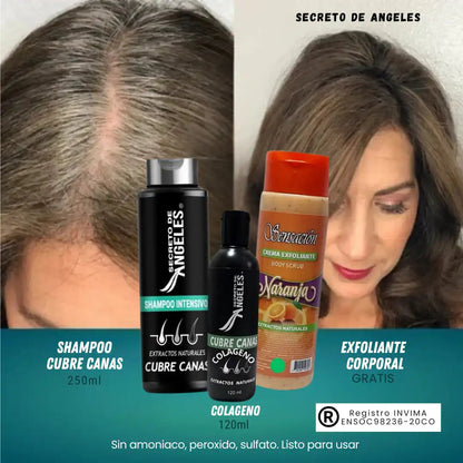 Shampoo Cubre Canas Secreto de Ángeles + Colágeno + Exfoliante GRATIS 🎁 | Fórmula Natural 3 en 1