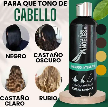 Shampoo Cubre Canas Secreto de Ángeles + Colágeno + Exfoliante GRATIS 🎁 | Fórmula Natural 3 en 1